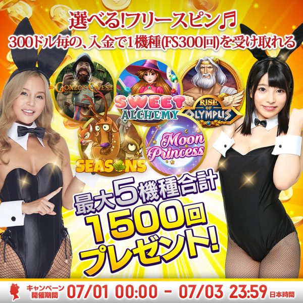 選べるフリースピン