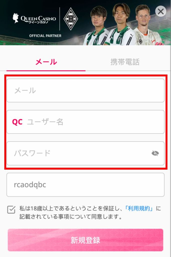 登録情報の入力