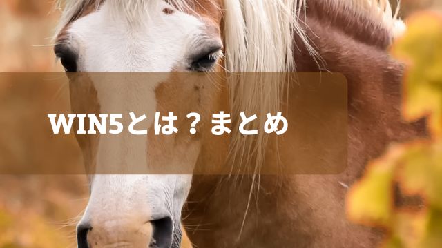 WIN5とは？まとめ