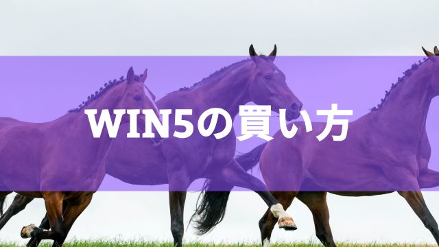 WIN5の買い方