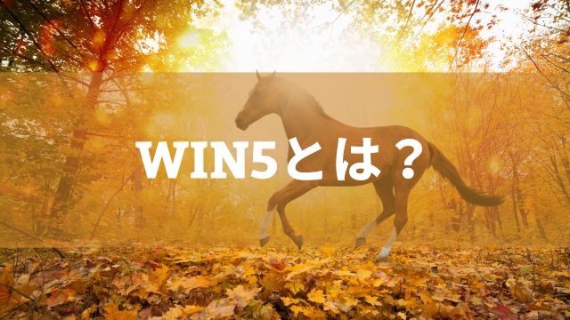 WIN5とは？